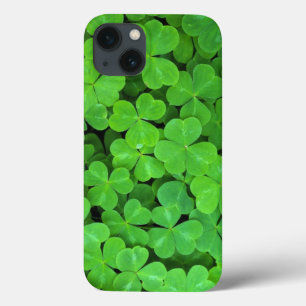 USA, California, Jedediah Smith Rewood SP. iPhone 13 Case