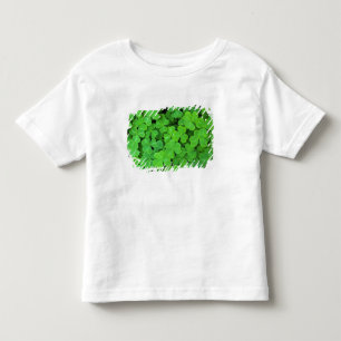 USA, California, Jedediah Smith Rewood SP. Toddler T-Shirt