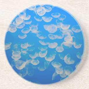 USA, California. Jellyfish In The Monterey Bay Coaster