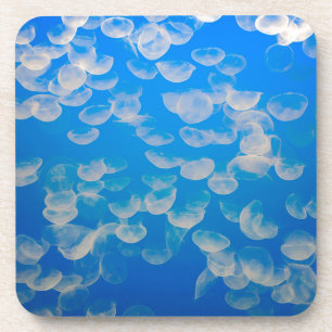 USA, California. Jellyfish In The Monterey Bay Coaster