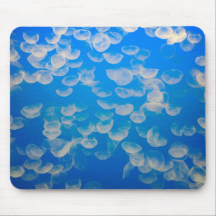 USA, California. Jellyfish In The Monterey Bay Mouse Pad