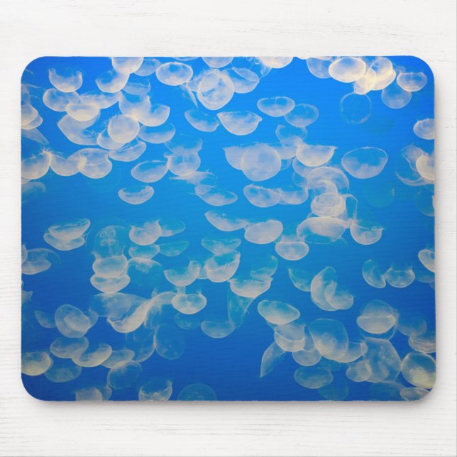 USA, California. Jellyfish In The Monterey Bay Mouse Pad (Front)