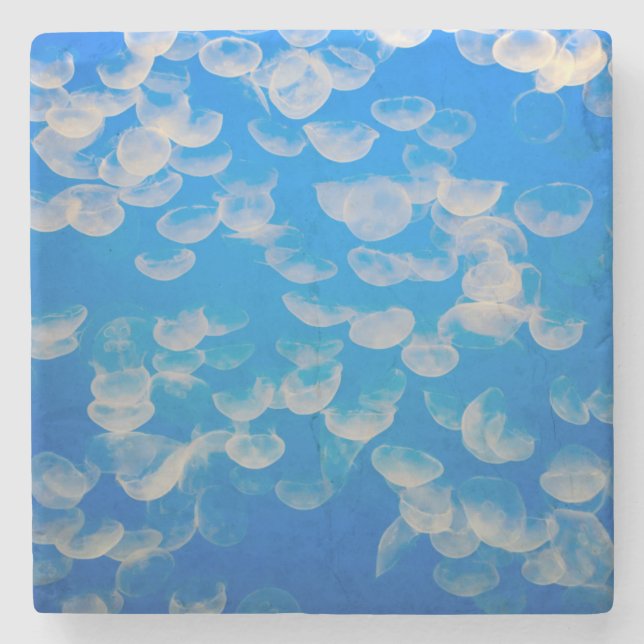 USA, California. Jellyfish In The Monterey Bay Stone Coaster (Front)
