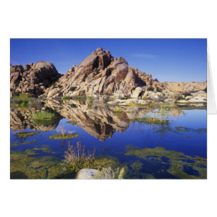 USA, California, Joshua Tree National Park,