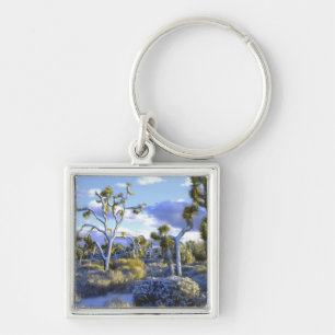 USA, California, Joshua Tree National Park. 2 Key Ring