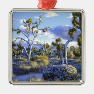 USA, California, Joshua Tree National Park. 2 Metal Tree Decoration