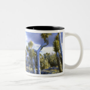 USA, California, Joshua Tree National Park. 2 Two-Tone Coffee Mug