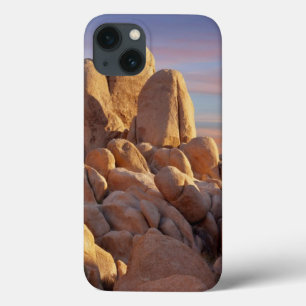 USA, California, Joshua Tree National Park iPhone 13 Case