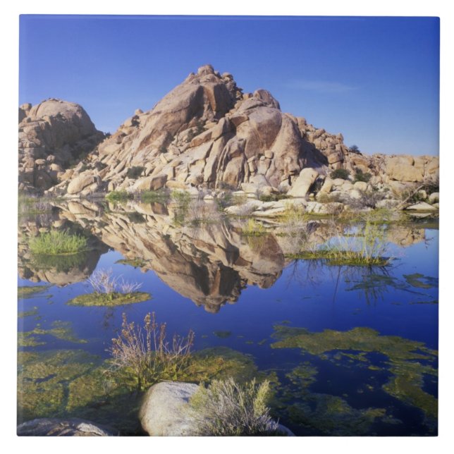 USA, California, Joshua Tree National Park, Ceramic Tile (Front)