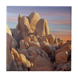 USA, California, Joshua Tree National Park Ceramic Tile
