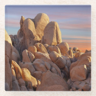 USA, California, Joshua Tree National Park Glass Coaster