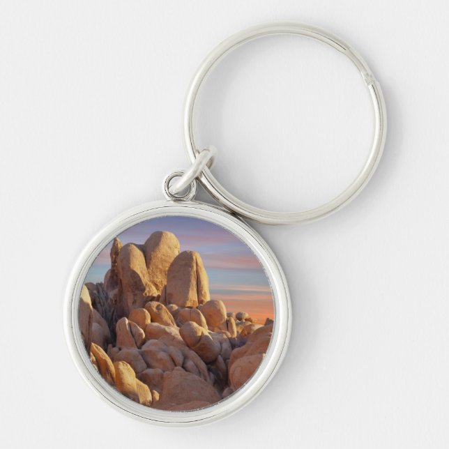 USA, California, Joshua Tree National Park Key Ring (Front)
