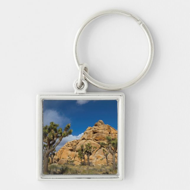USA, California, Joshua Tree National Park Key Ring (Front)