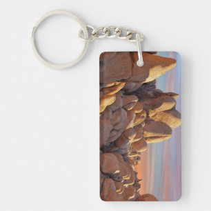 USA, California, Joshua Tree National Park Key Ring