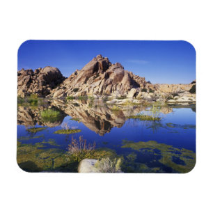 USA, California, Joshua Tree National Park, Magnet