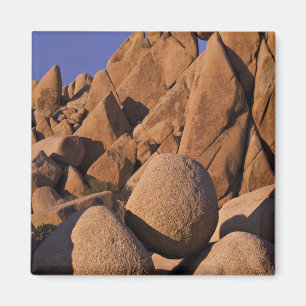 USA, California, Joshua Tree National Park. Magnet