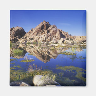 USA, California, Joshua Tree National Park, Magnet