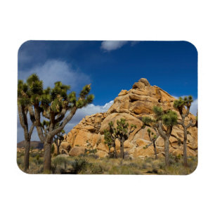 USA, California, Joshua Tree National Park Magnet