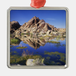 USA, California, Joshua Tree National Park, Metal Ornament