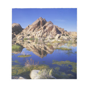 USA, California, Joshua Tree National Park, Notepad
