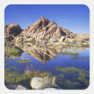 USA, California, Joshua Tree National Park, Square Sticker