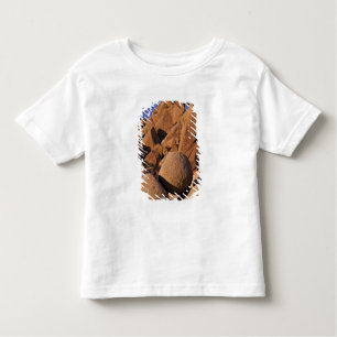 USA, California, Joshua Tree National Park. Toddler T-Shirt