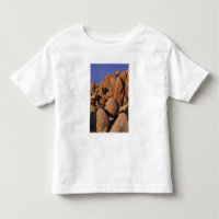 USA, California, Joshua Tree National Park.