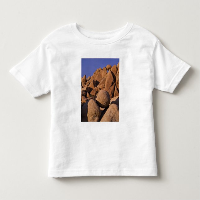 USA, California, Joshua Tree National Park. Toddler T-Shirt (Front)