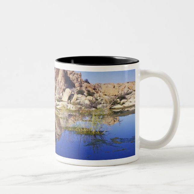 USA, California, Joshua Tree National Park, Two-Tone Coffee Mug (Right)
