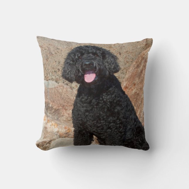 USA, California. Labradoodle Sitting Cushion (Front)