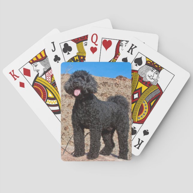USA, California. Labradoodle Standing Playing Cards (Back)
