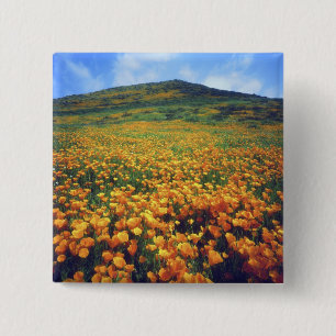USA, California, Lake Elsinore. California 15 Cm Square Badge