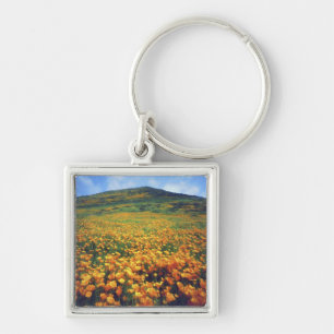 USA, California, Lake Elsinore. California Key Ring