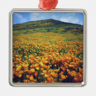 USA, California, Lake Elsinore. California Metal Ornament