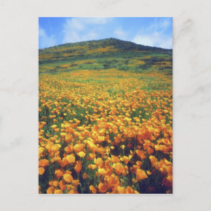 USA, California, Lake Elsinore. California Postcard