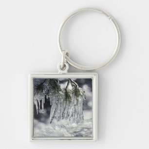 USA, California, Lake Tahoe. Icicles over Key Ring