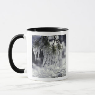 USA, California, Lake Tahoe. Icicles over Mug