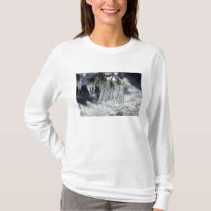 USA, California, Lake Tahoe. Icicles over T-Shirt