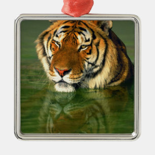 USA, California, Los Angeles County. Bengal Metal Tree Decoration