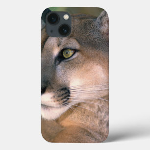 USA, California, Los Angeles County. Portrait of iPhone 13 Case
