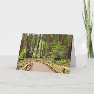 USA, California, Marin County, Muir Woods Card