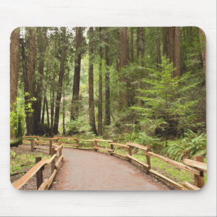USA, California, Marin County, Muir Woods Mouse Pad