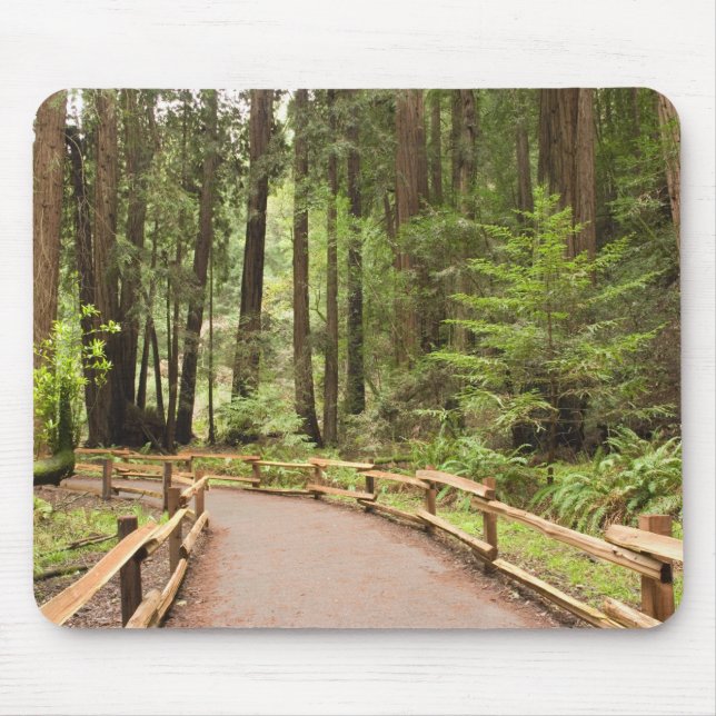 USA, California, Marin County, Muir Woods Mouse Pad (Front)