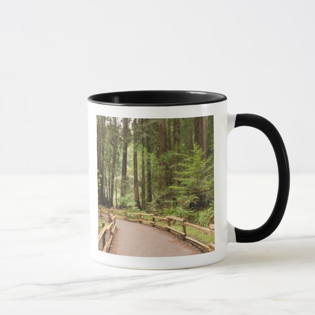 USA, California, Marin County, Muir Woods Mug (Right)