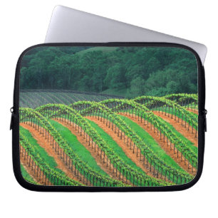 USA, California, Mendocino County, a trellised Laptop Sleeve