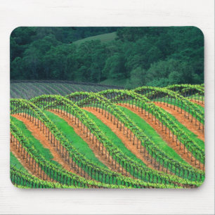 USA, California, Mendocino County, a trellised Mouse Pad