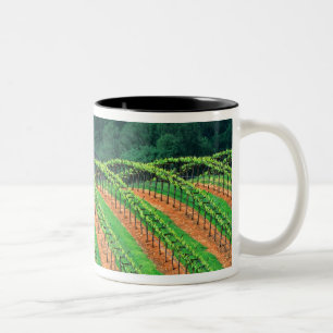 USA, California, Mendocino County, a trellised Two-Tone Coffee Mug
