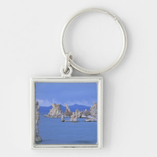 USA, California, Mono Lake Key Ring