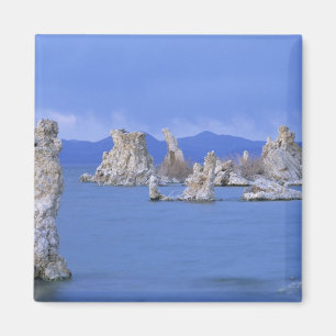 USA, California, Mono Lake Magnet