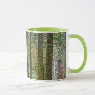 USA, California. Moss Covered Tree Trunks Mug